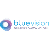 Blue Vision logo