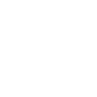Breyer logo