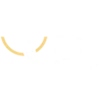 Digital Smile Academy logo