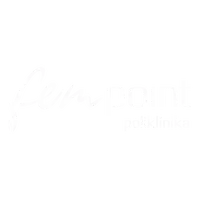 Fem Point logo