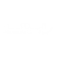 NeuroSan logo