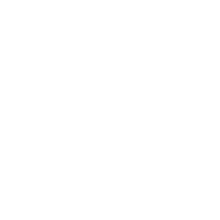 Dental Estetic Studio logo