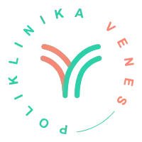 VeNeS logo