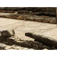 Poliklinika Rakovac logo