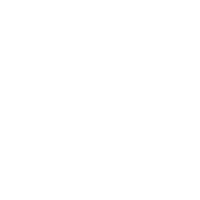 Synevo logo