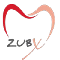 Zub X logo